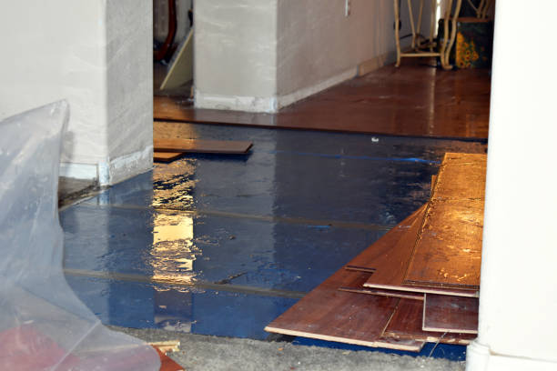 Professional Water Damage Restoration technician working in Blue Ridge, TX